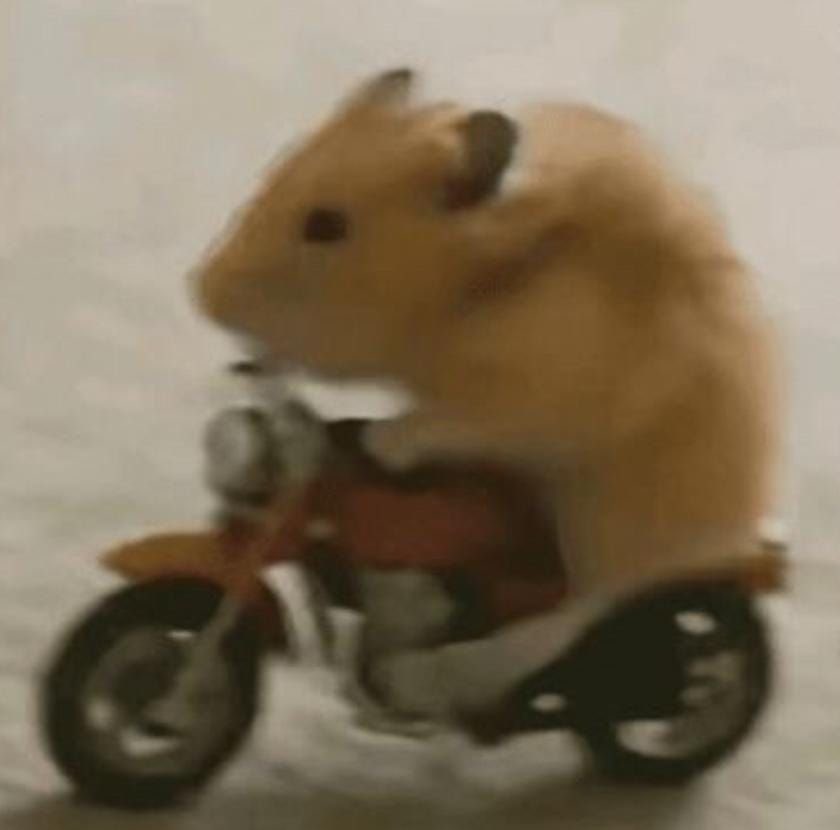 🦕ˎˊ˗ tweet media