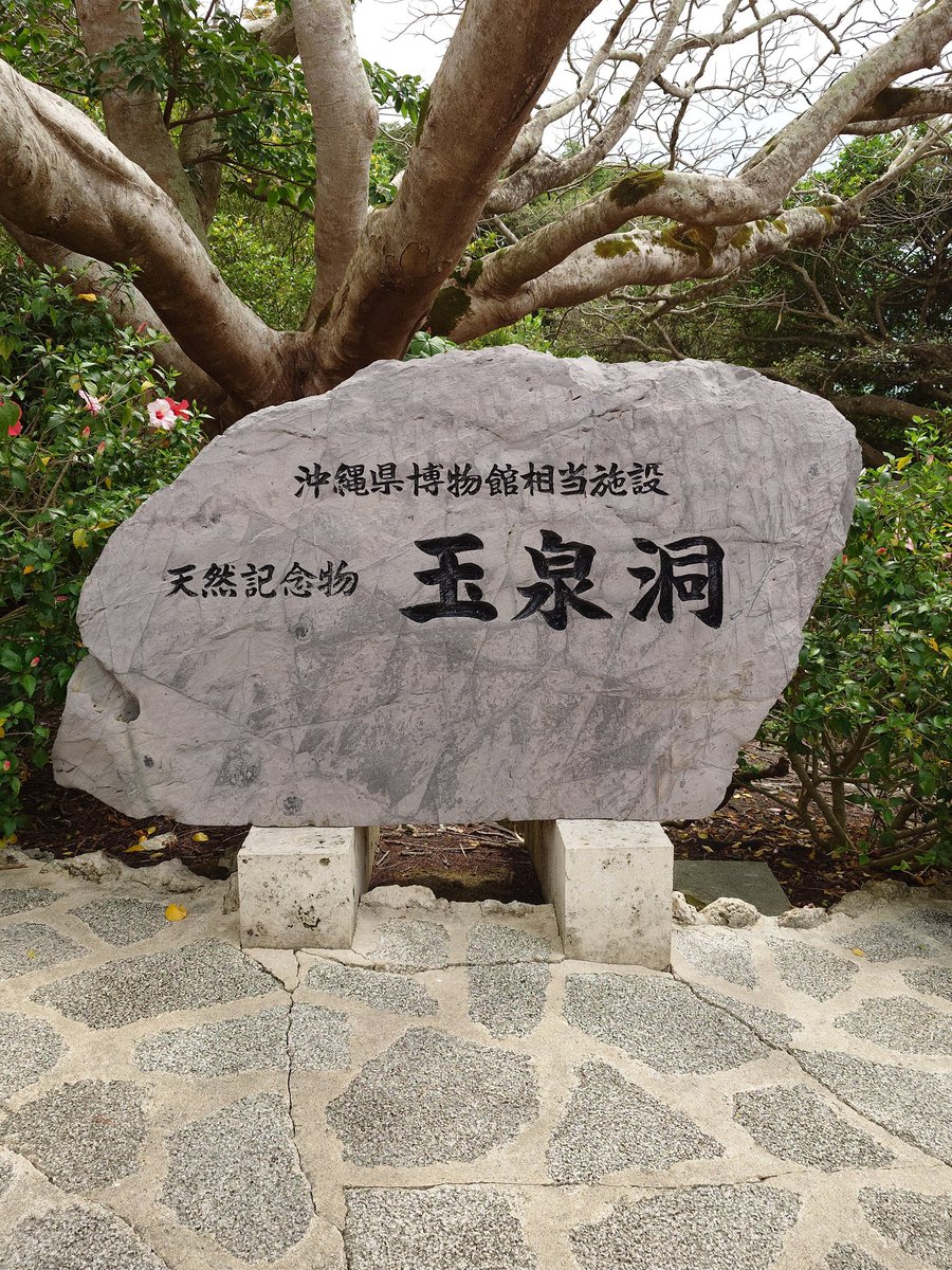 ダブチマスター tweet media