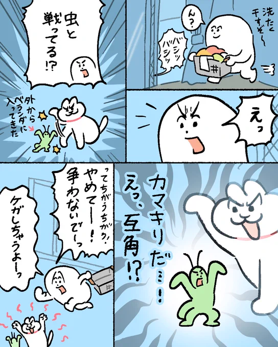 ねこvsカマキリ(1/2) 