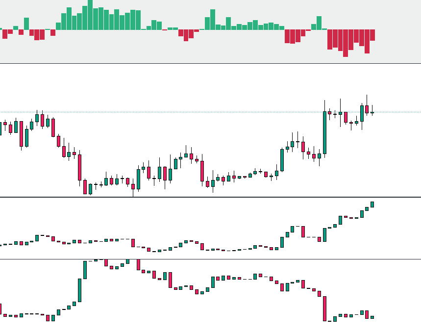 TNDK 🪴 tweet media