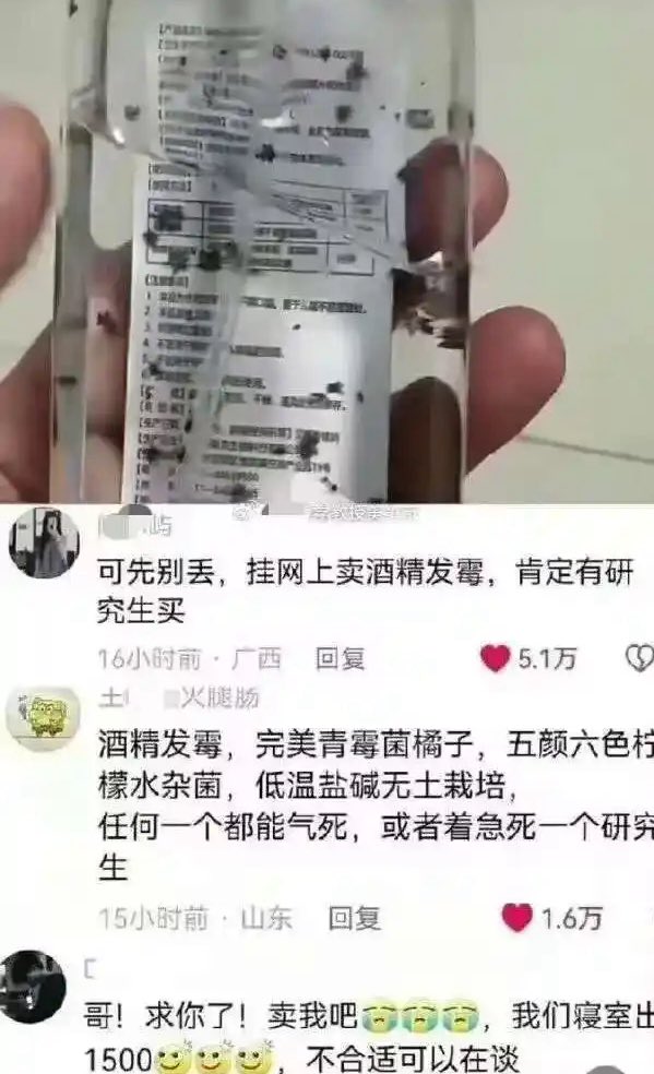 翅翅膀喵 tweet media