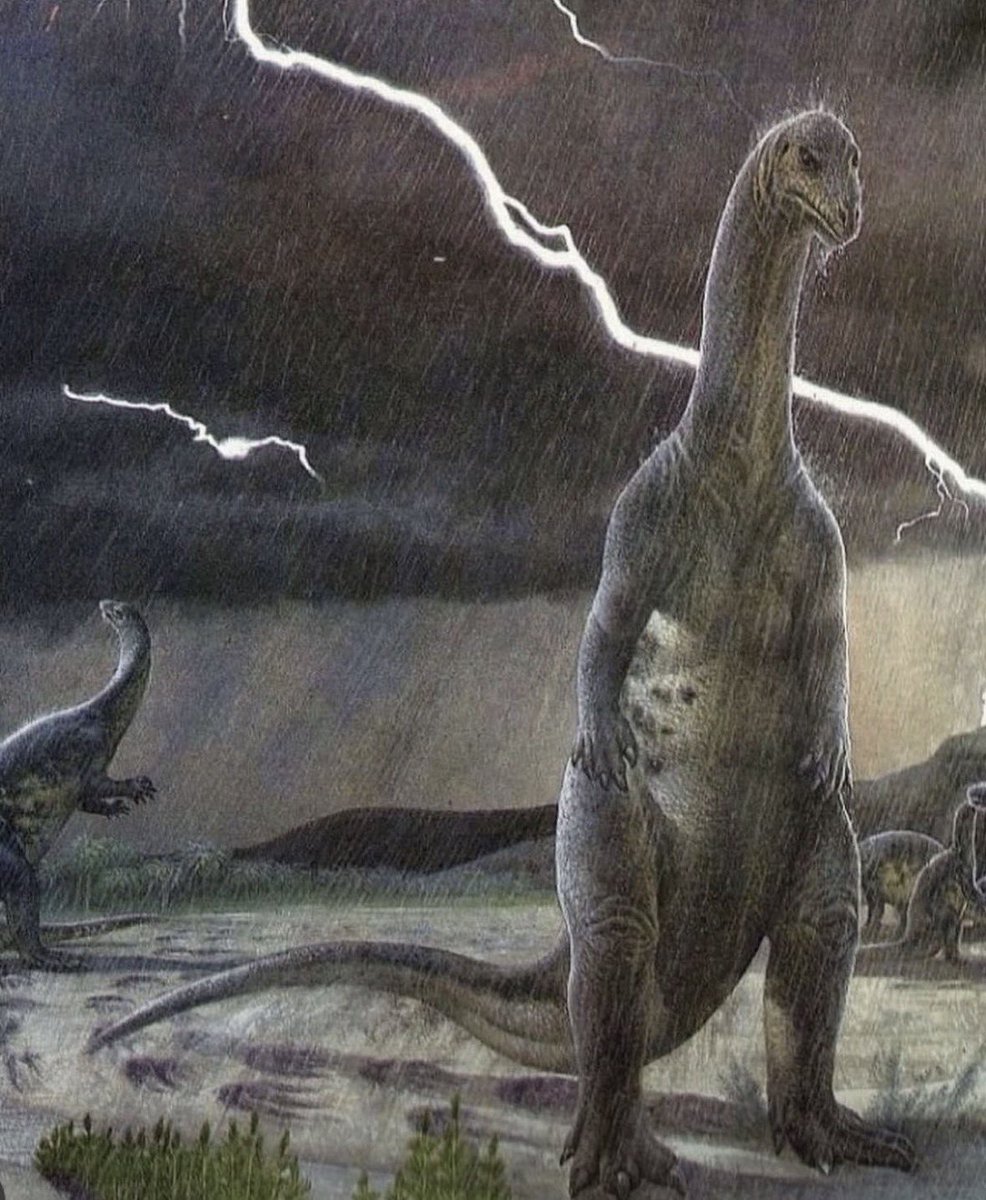 em ❀ edtwt tweet media