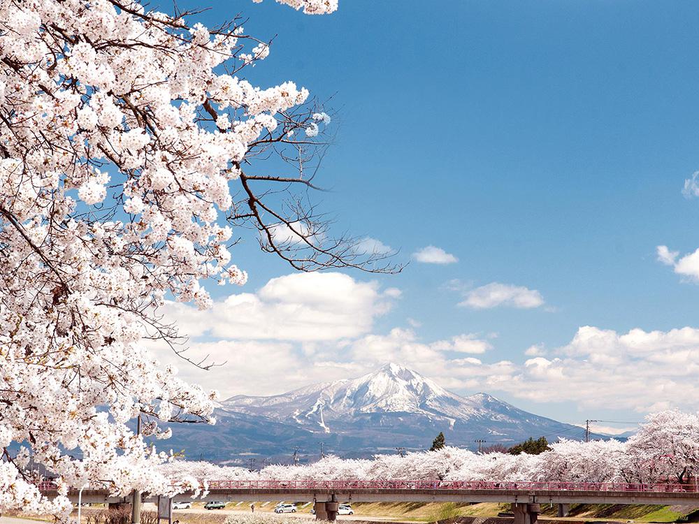 （株）むう企画【公式】 tweet media