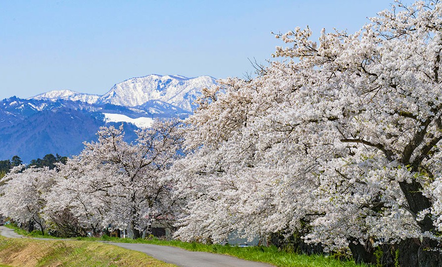 （株）むう企画【公式】 tweet media