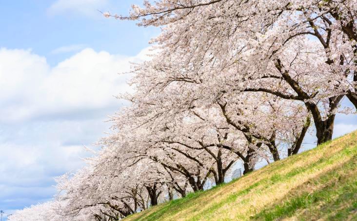 （株）むう企画【公式】 tweet media