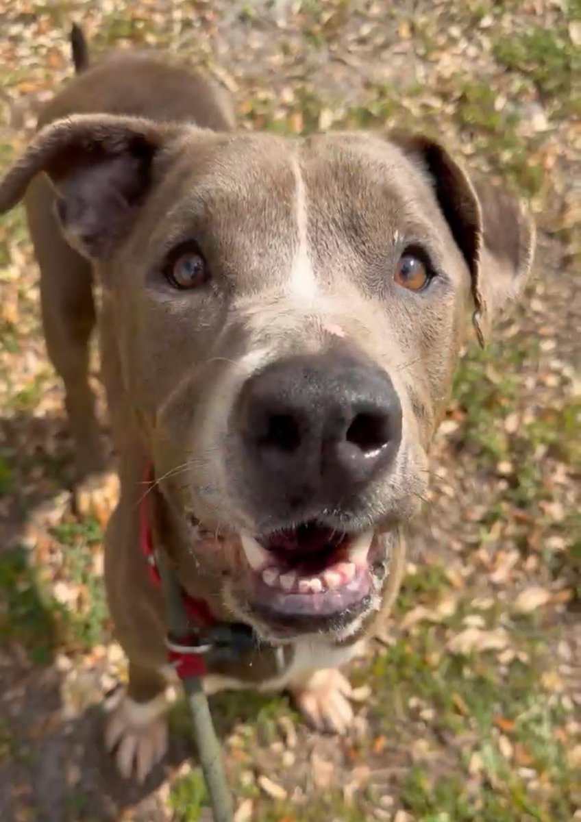 Fionaismybitch tweet media