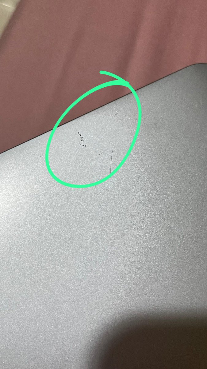 el ʕ•⁠ᴥ⁠•⁠ʔ tweet media