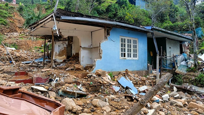 NewsReport tweet media