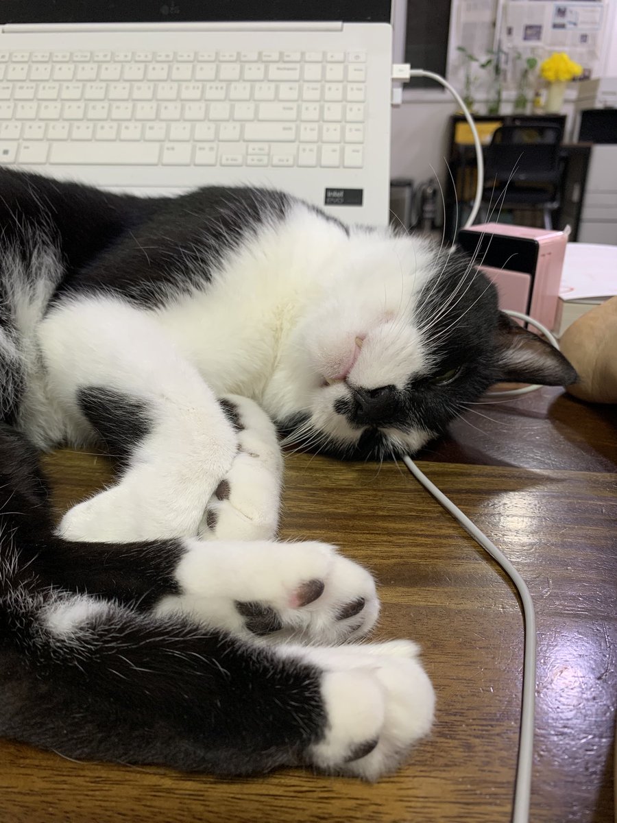 yiboon's tweet photo. 모두에게 안부. https://t.co/IvJoXiv8cr