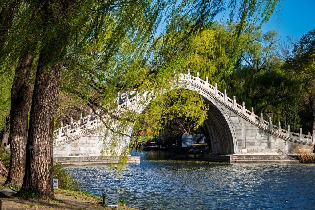 HighfliersBJ's tweet photo. 🌸 Pink petals, ancient pavilions, and the first spring breeze over Kunming Lake reveal Beijing’s softer side at the Summer Palace. 
#SummerPalace #BeijingSpring #springvibes https://t.co/iWaXGLsrLl