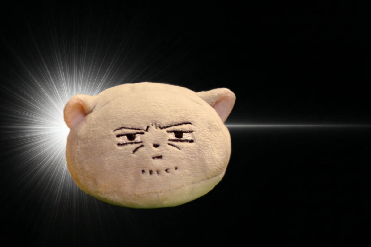 こげこげ🪿 tweet media