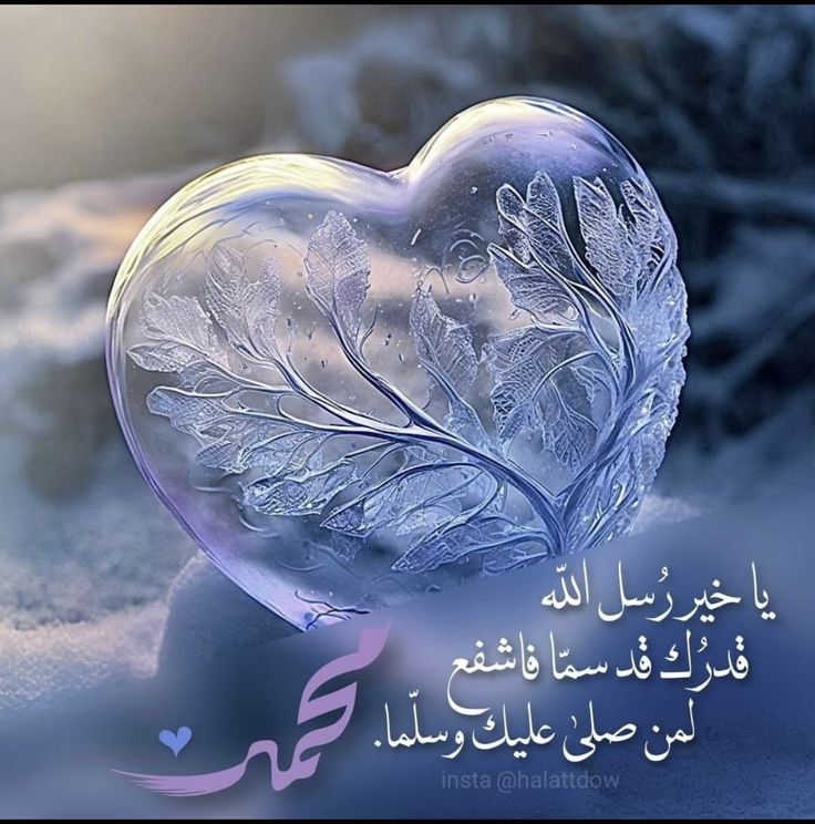 مهنـد tweet media