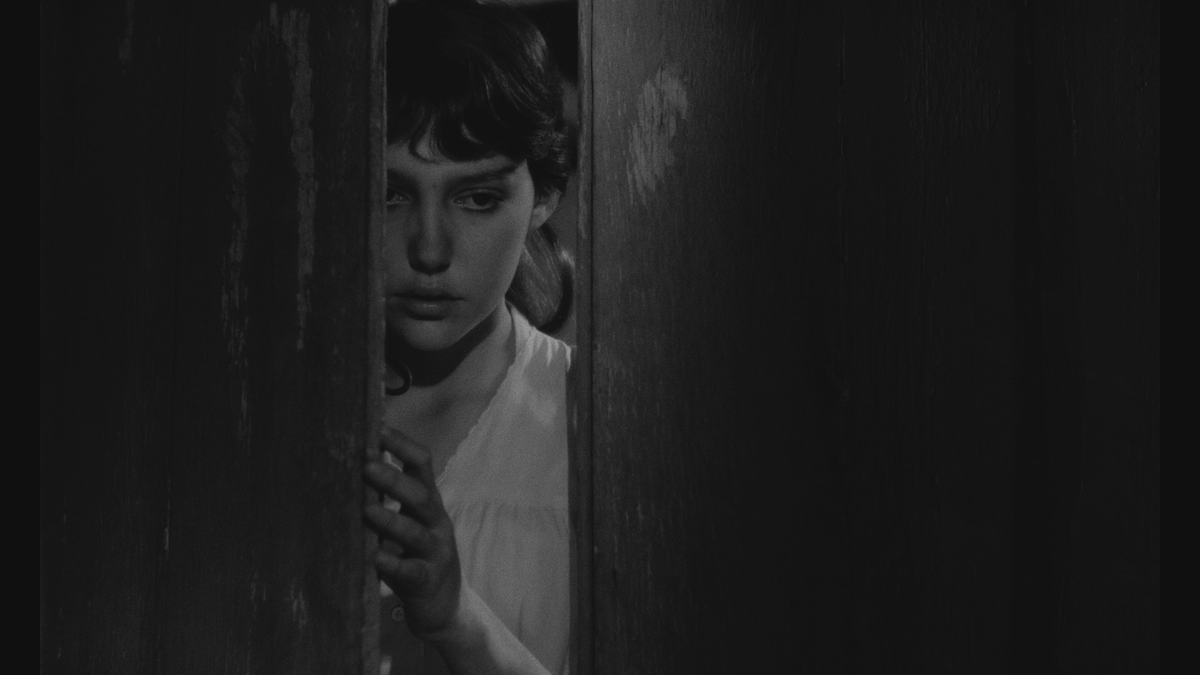 Torrent Film Fest tweet media