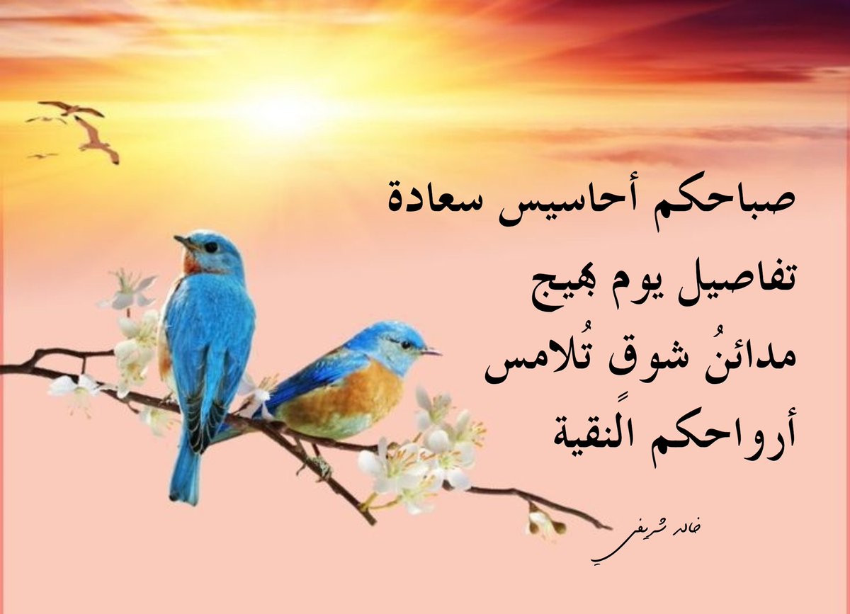 خالد شريفي tweet media