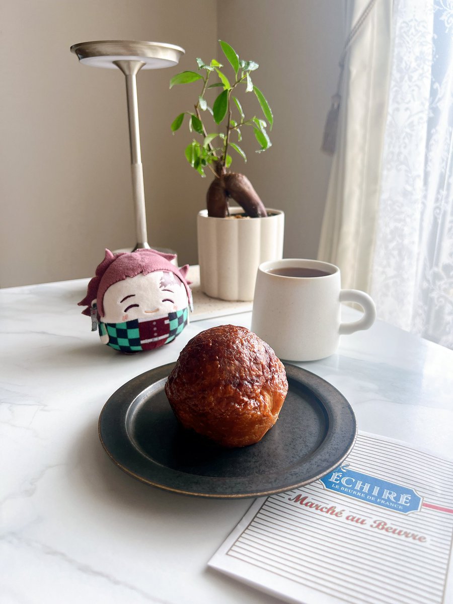 豆つぶ🫘5/31予定 tweet media