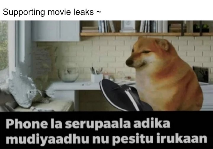 Team Cheems tweet media