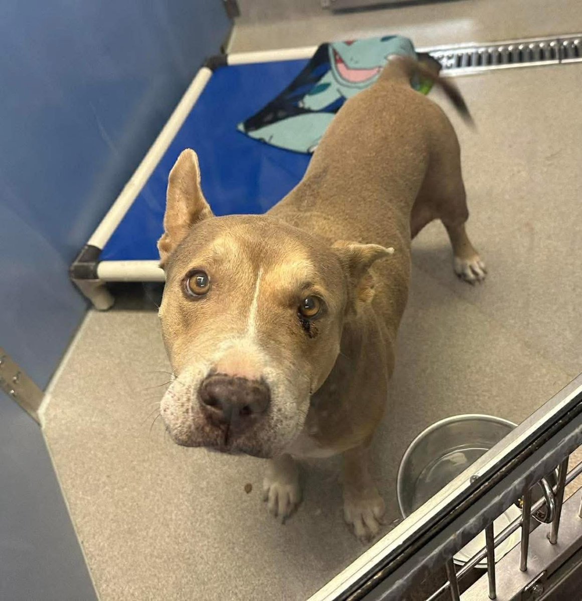 Fionaismybitch tweet media