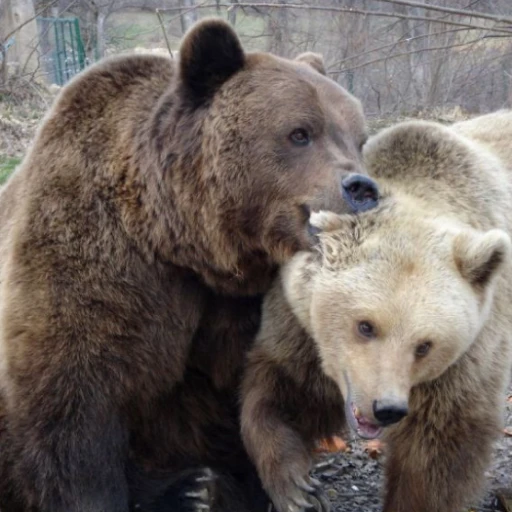 Dust Man tweet media