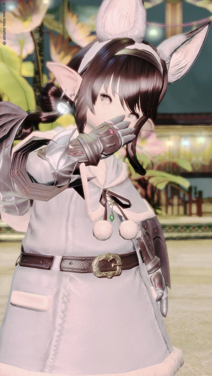 🍞（Panchan） tweet media