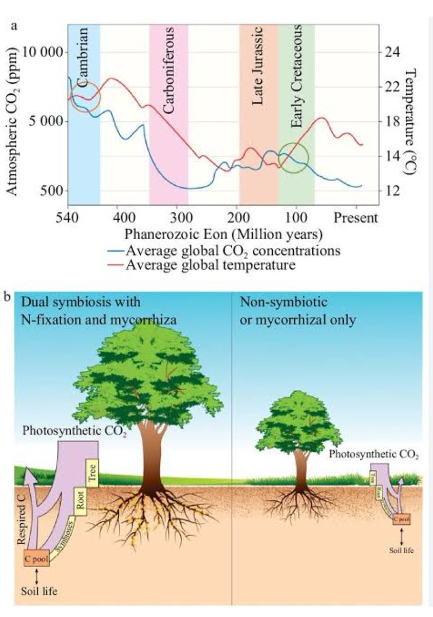 The real long-term geological risk to life is not the modest global warming we are expecting. 

It's the multi-million-year depletion of atmospheric CO₂, toward levels where C3 plants (which comprise most vegetation) start to reach their physiological limits.

We are seeing a