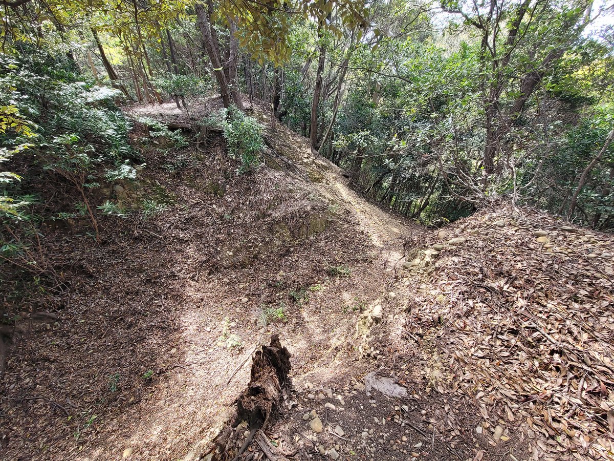 六郷橋の下出身 tweet media