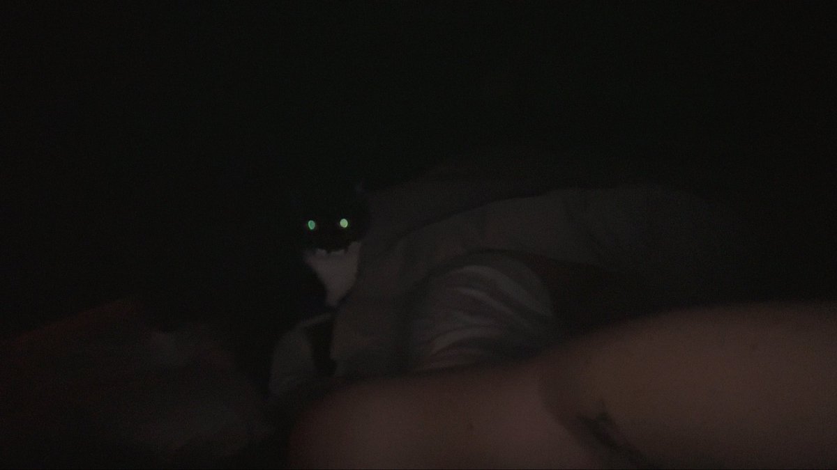 FooYa tweet media