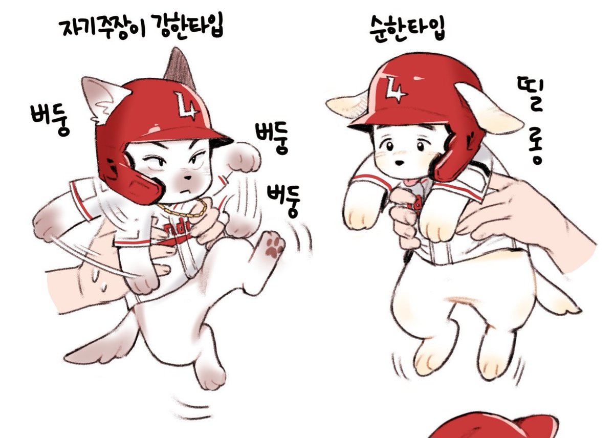 강아지 구단이니 이정도는 괜찮을 것같단 생각