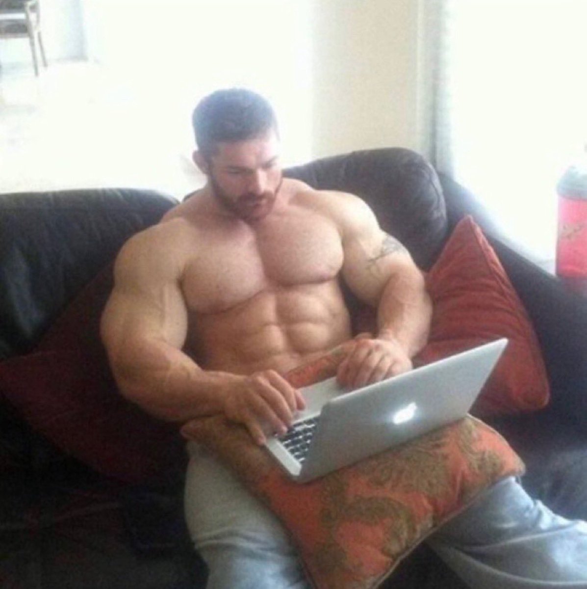 SF Groyper 𖠊 tweet media