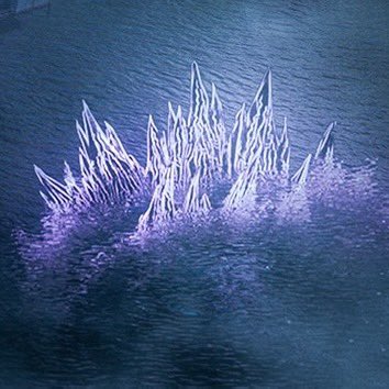 Mr. Goji tweet media