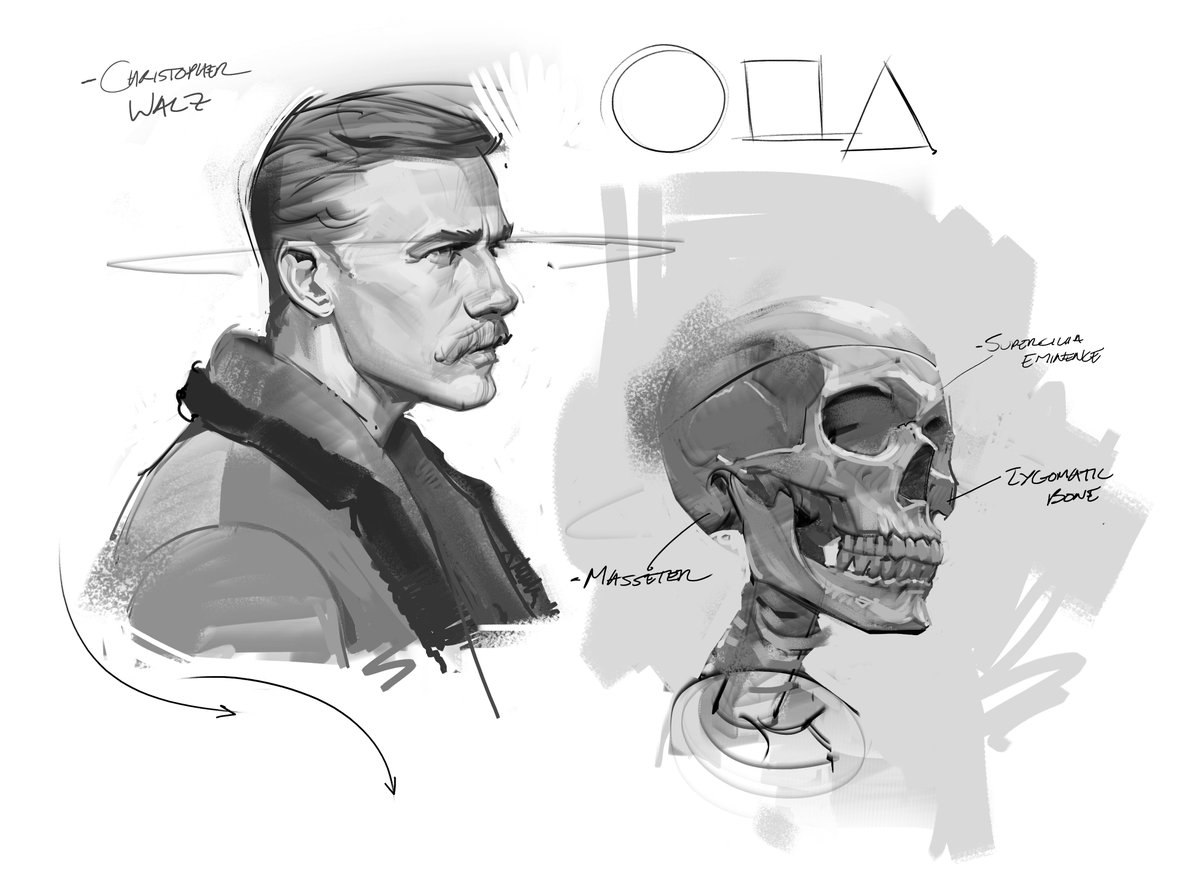 saqomolo's tweet image. Portrait sketch and skull doodle! #skulls #sketches #drawing #painting #valuestudy #gottogetbetter #shading #christopherwalz #art #figuredrawing #gesturedrawing #anatomy #humananatomy