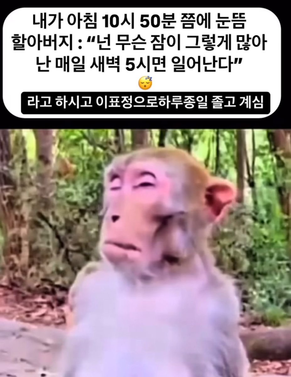가오닭 tweet media
