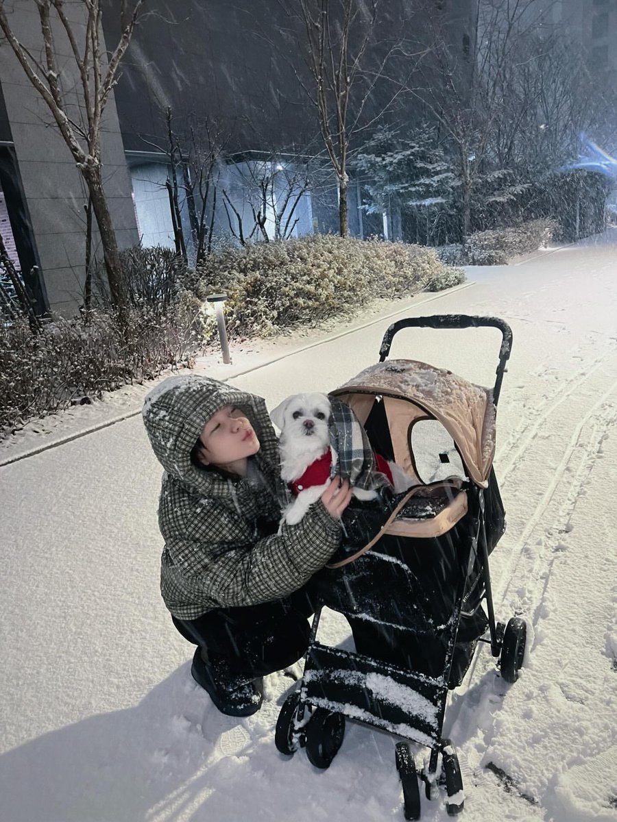 ⭐⭐⭐⭐⭐ tweet media