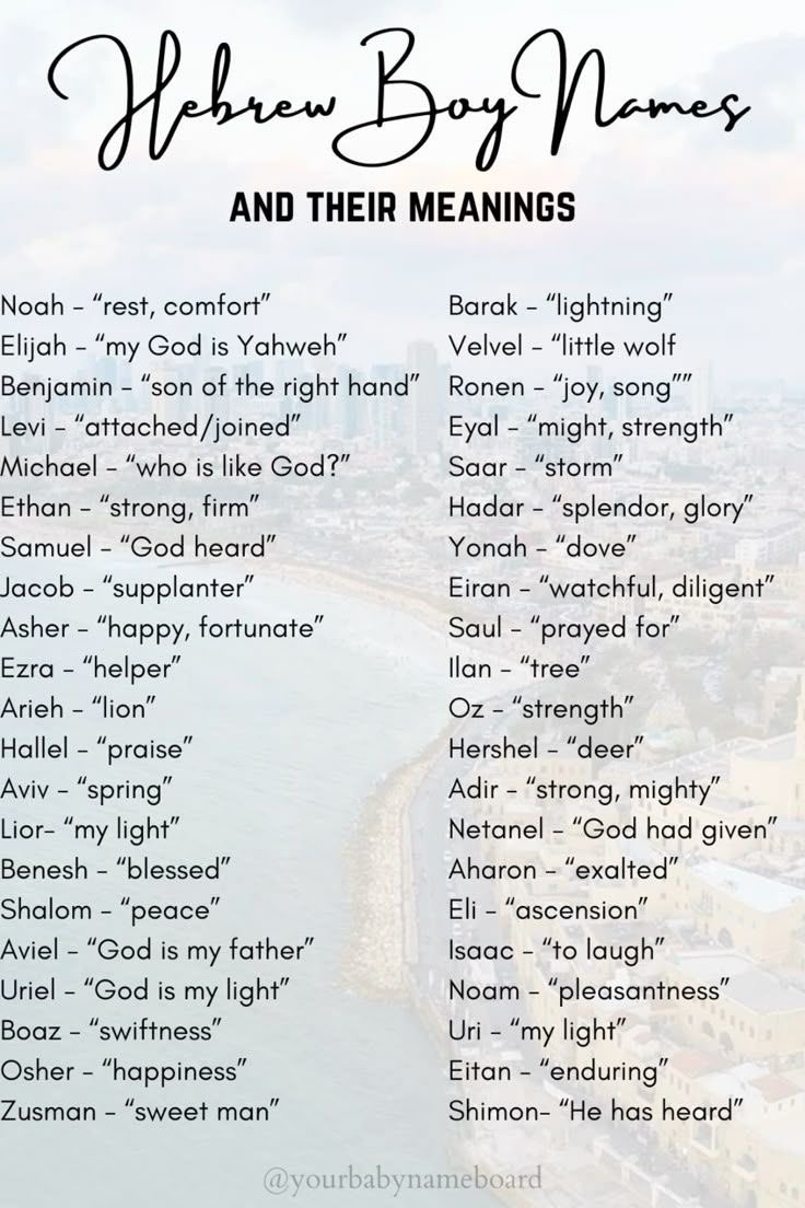 Josh Barzon tweet media