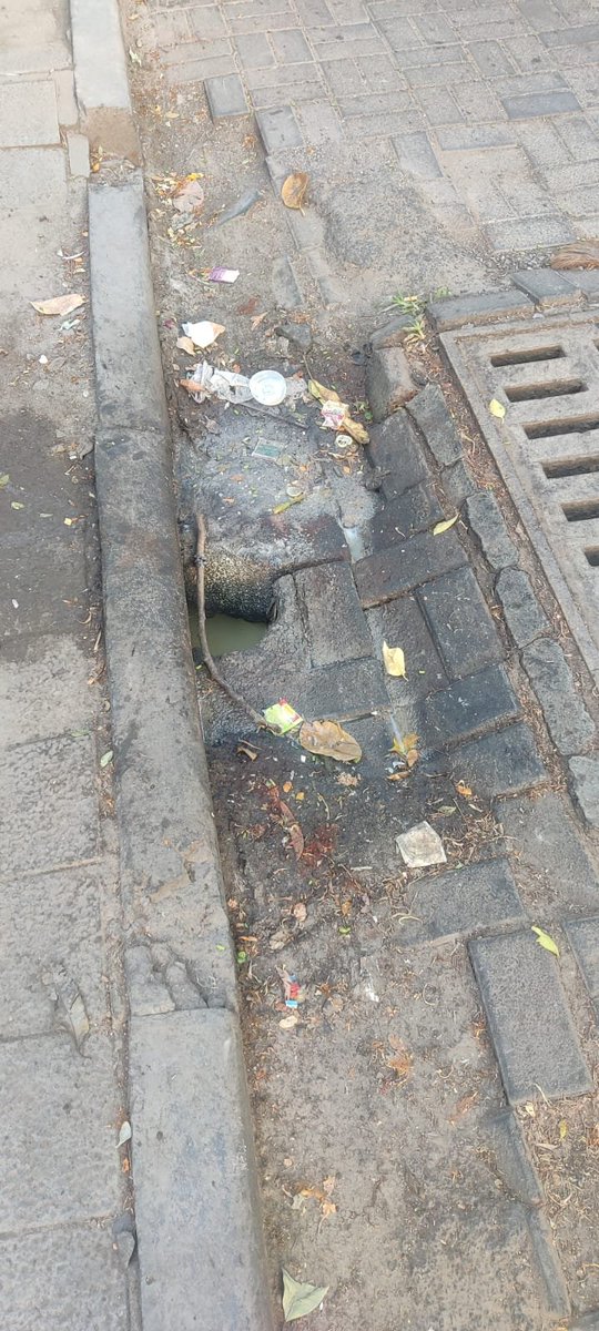 sumitakale's tweet image. Standard scene in Pune -photo does not capture the smell! 
@PMCPune gives licenses to vendors but does NOT provide for drainage and water - so they make a hole next to the drain and pour their oily water and more there. 
And #Pune is Most Liveable City 🥰