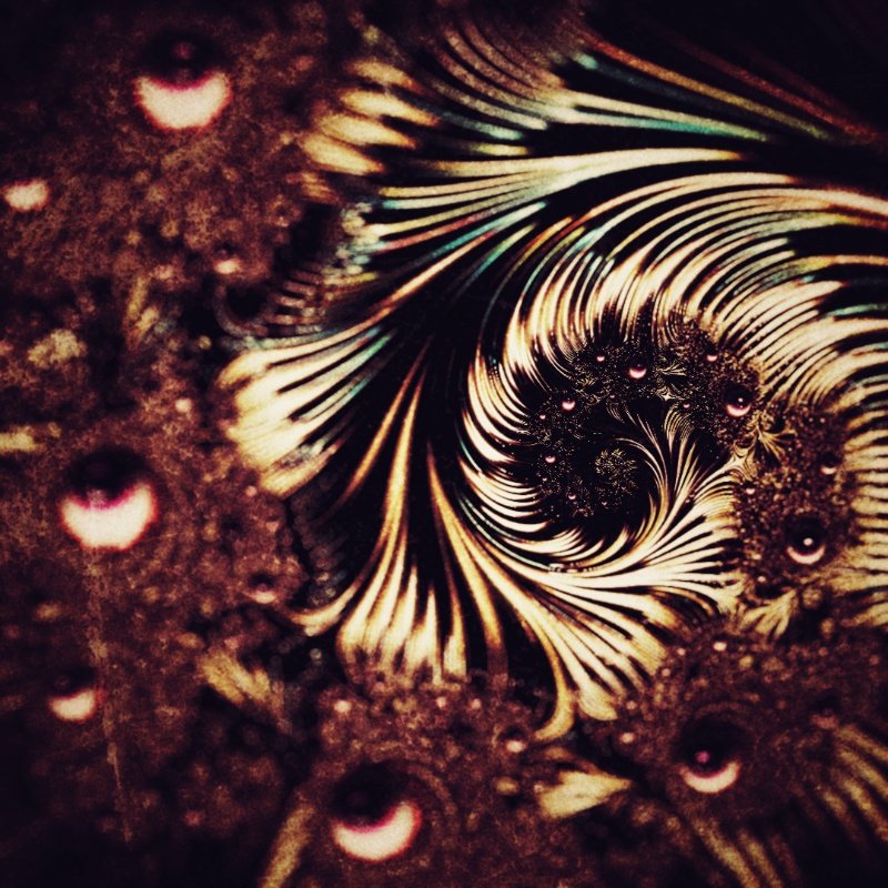 grainie_'s tweet image. #fractal