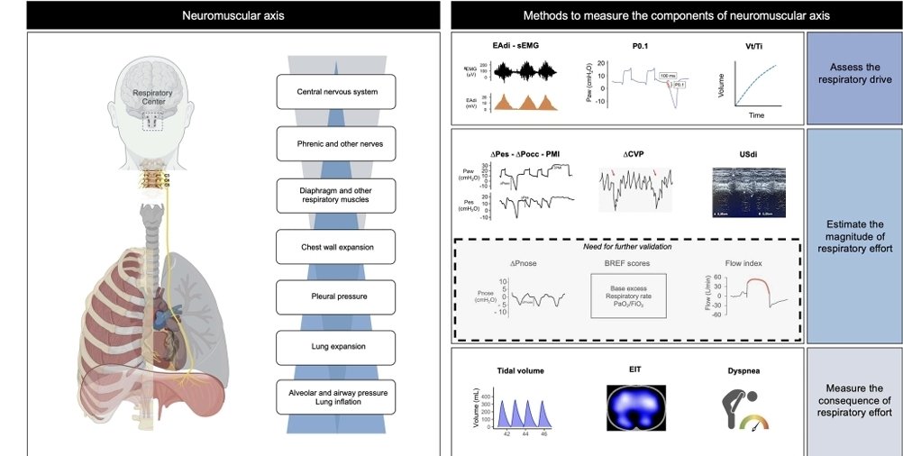 RECAT👩🏽‍⚕️🏥👨🏽‍⚕️🇲🇽🫀 tweet media