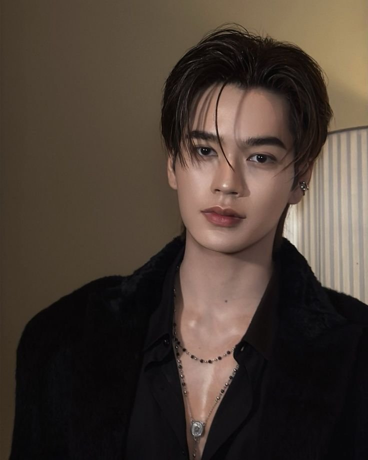 StarLight2026 tweet media