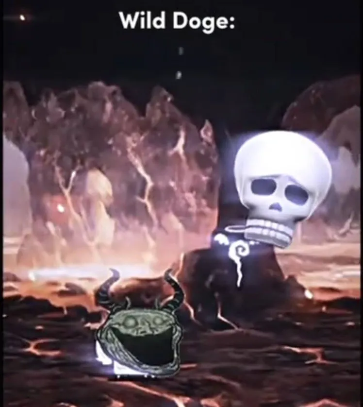 coral 🫧🪸 (#1 gigi kisser 🎲🎰) 🏳️‍⚧️ tweet media