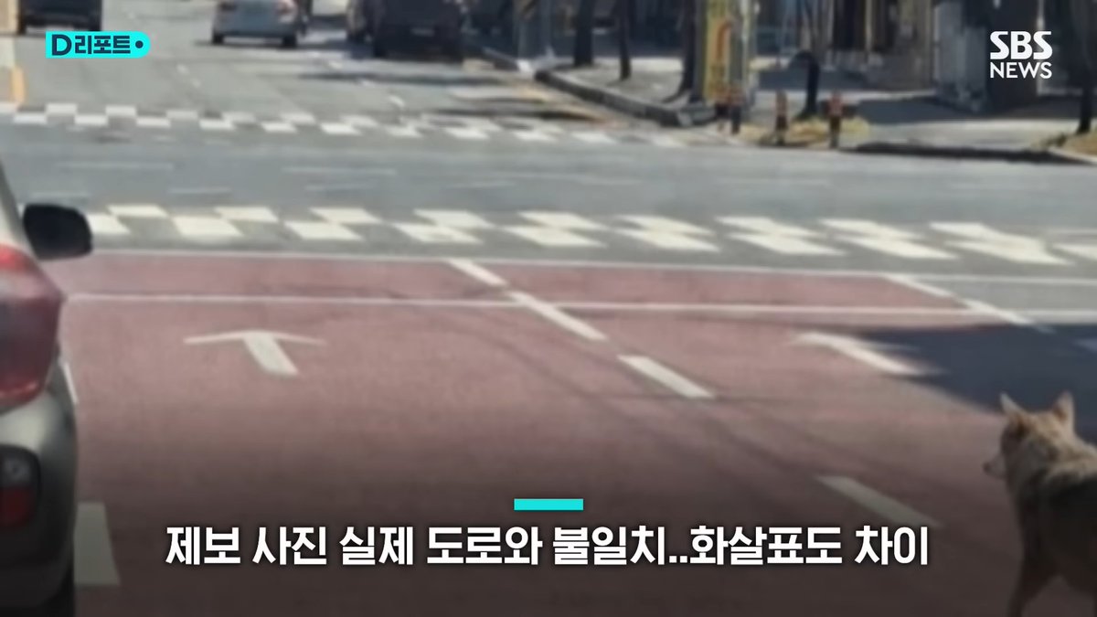 림잇 🌱 tweet media