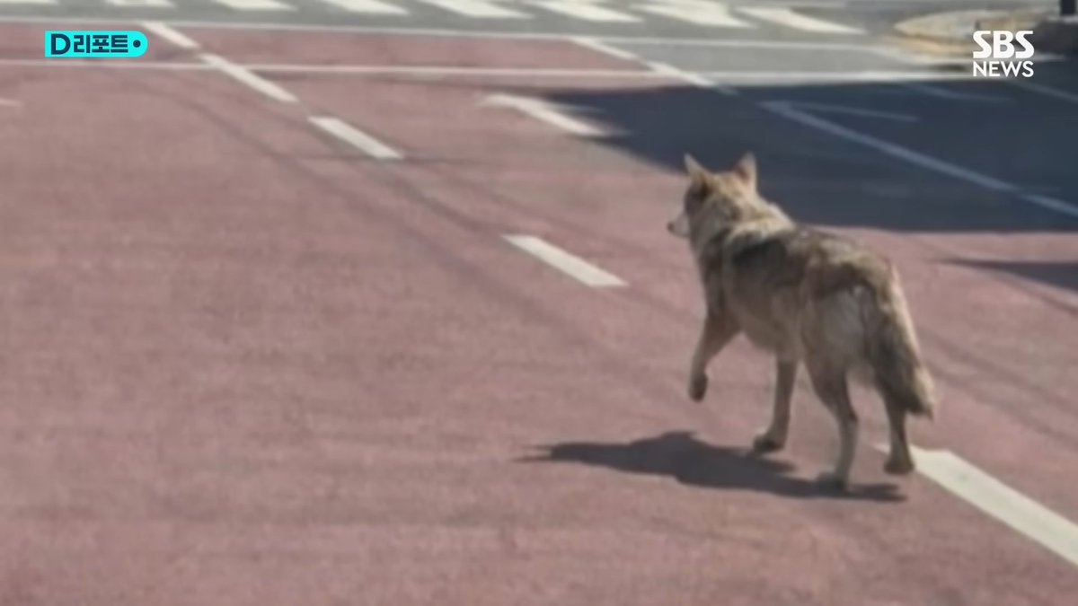 림잇 🌱 tweet media