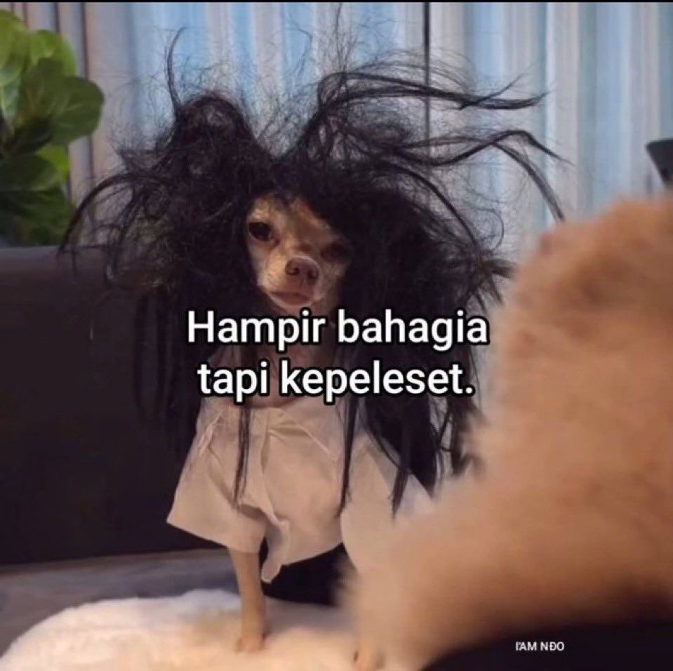 rihadayul tweet media