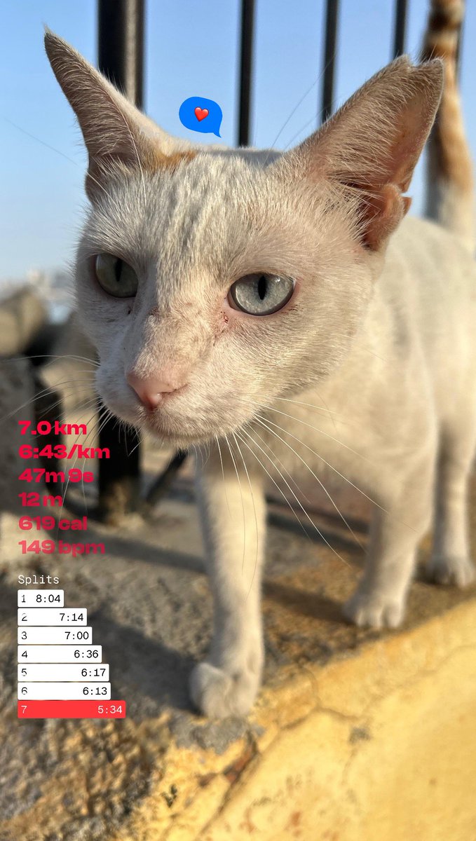 Stealth_Wealth tweet media