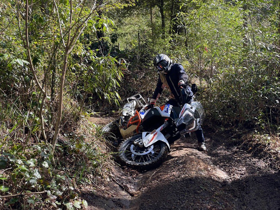 160ばりき tweet media