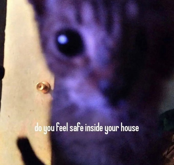 Amu Aigou 📚🪽 愛合あむ tweet media