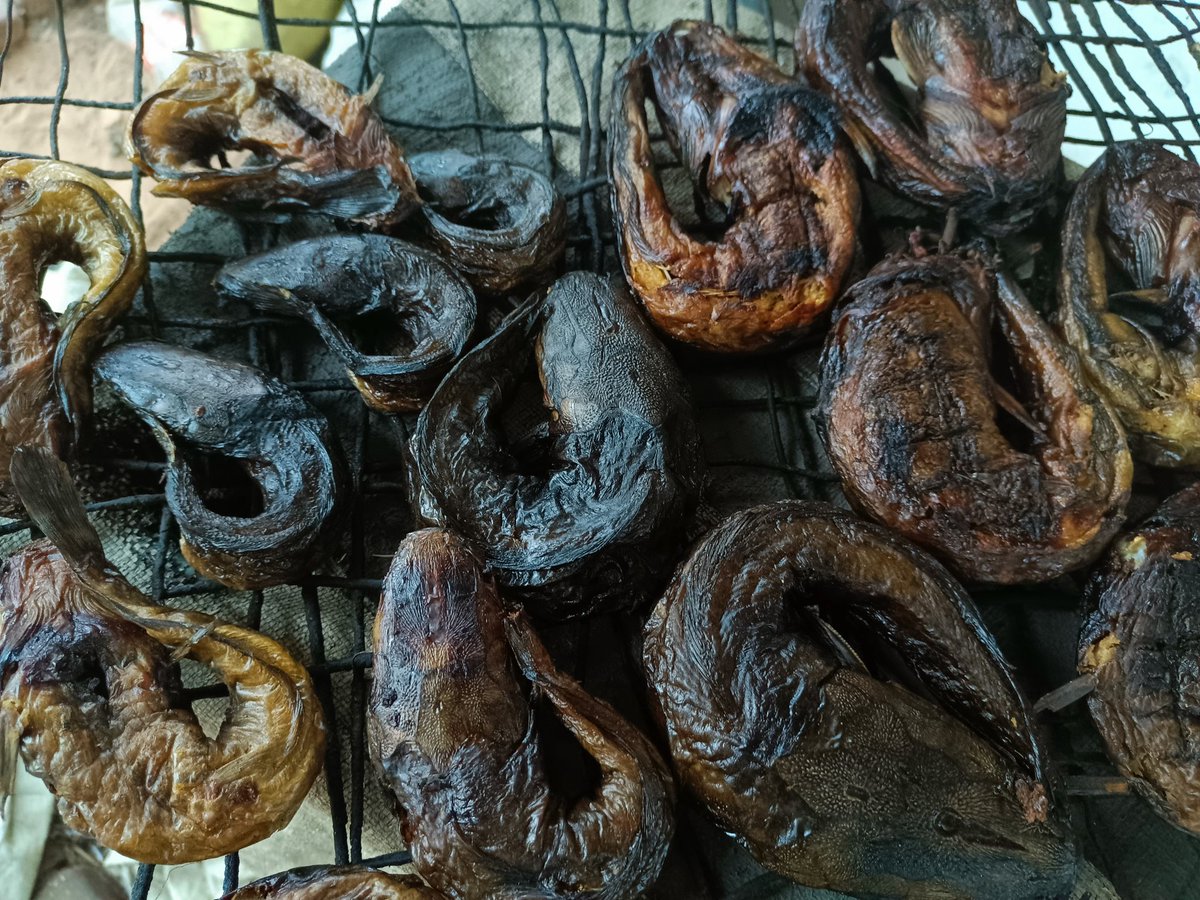 Miss Nyantawa😍 tweet media