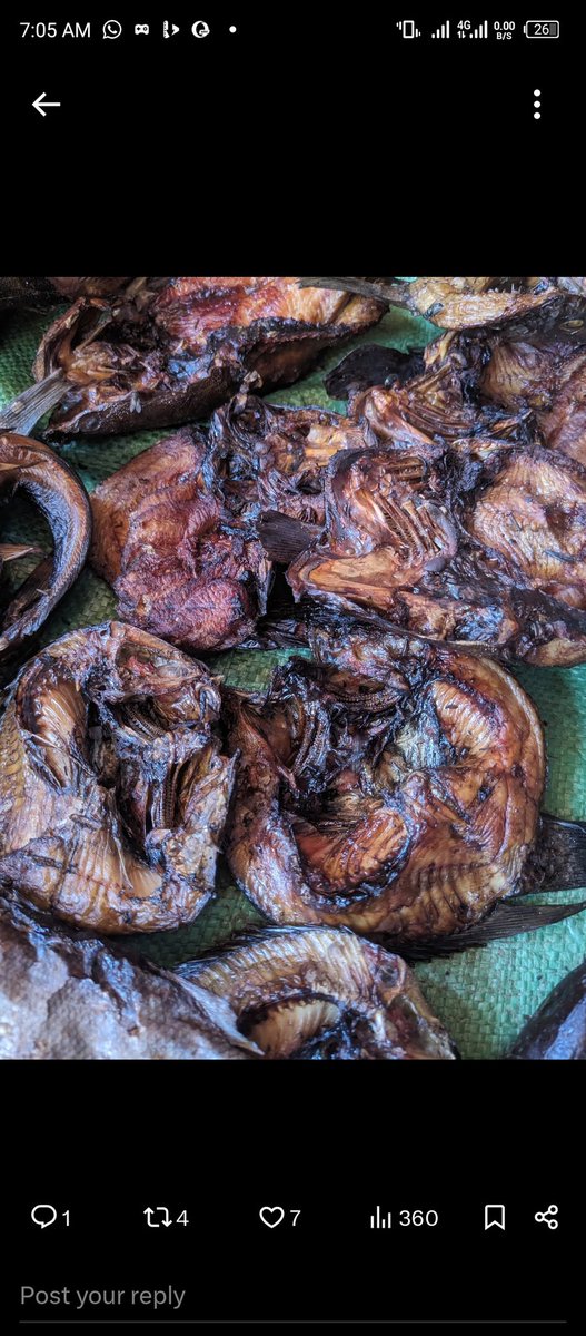 Miss Nyantawa😍 tweet media