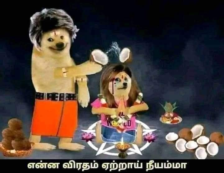 caroline tweet media