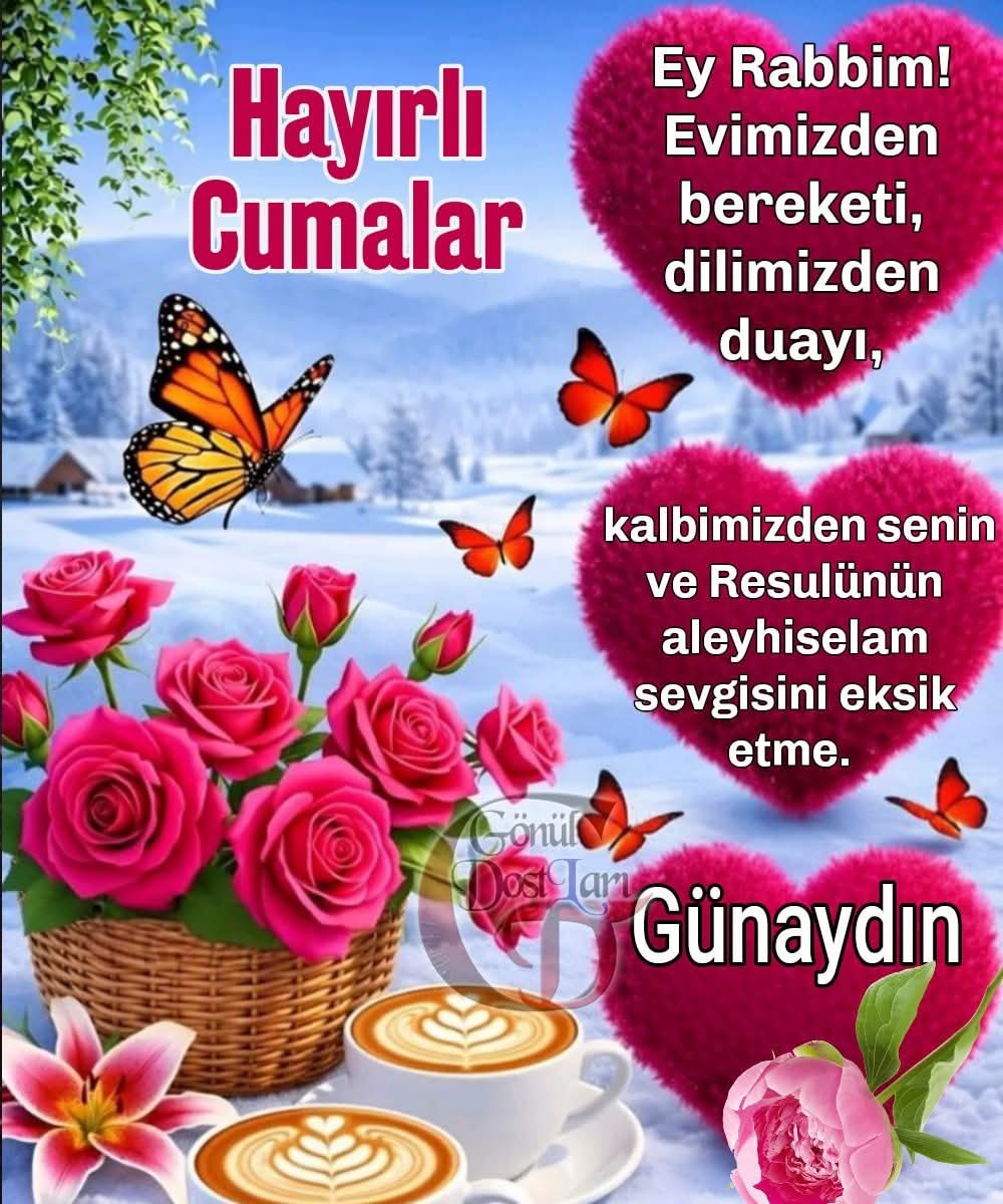 selamün aleyküm🇹🇷👋🏻
güne cımaya bismillah 

Üç şey öleni (mezara kadar) takip eder; ikisi geri döner, biri kalır. Ailesi, malı ve ameli onu takip eder. Ailesi ve malı geri döner, ameli kalır.
 Müslim, Zühd, 5

#hayırlı sabahlar 
cumanız mübarek gününüz bereketli olsun inşallah