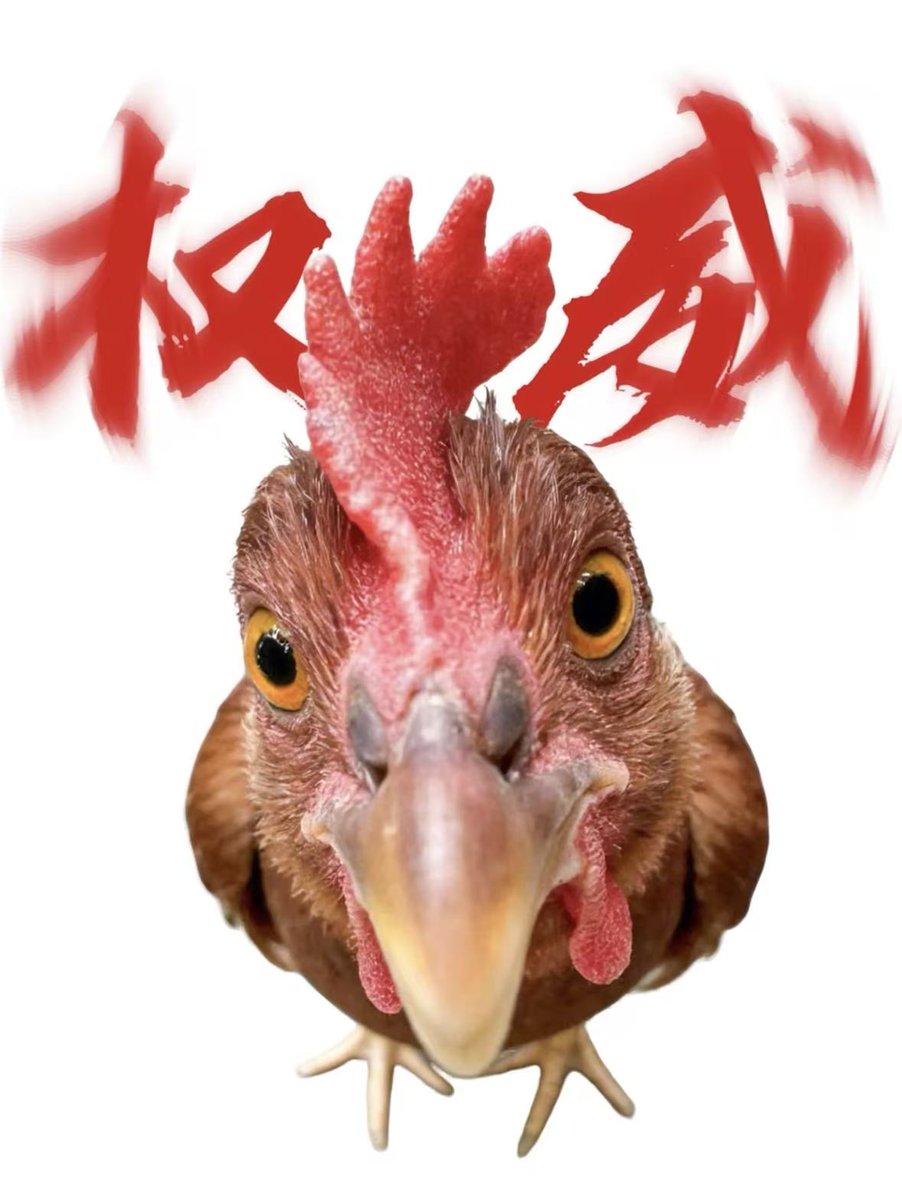 TIANmimiCS's tweet photo. 小红书老母鸡爆款：1个月起号，月售5000+，轻松变现5万➕
从0-1全套起号逻辑跟流程：
https://t.co/3gq5lkx7oF

表面卖鸡叫，实际卖流量
前端5.88引流，后端情感、资料、副业反复变现 https://t.co/jY5AeuOi8U