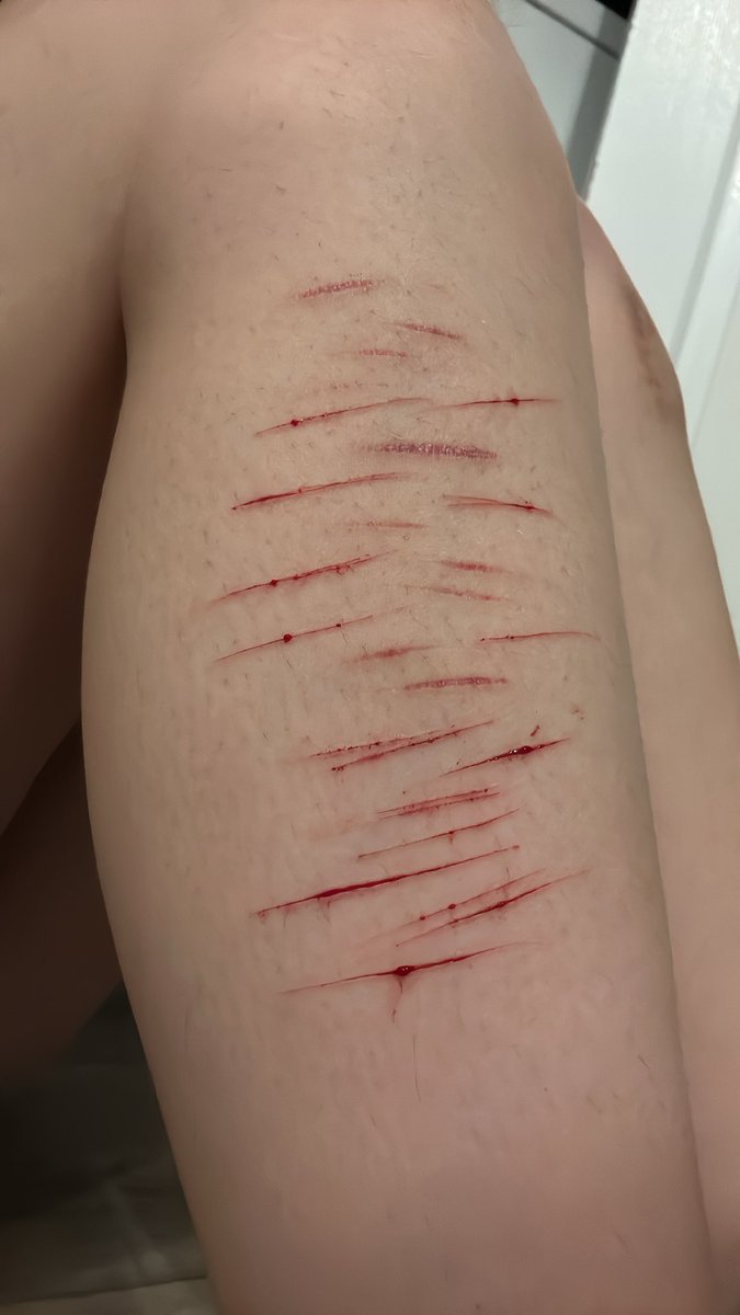 ˖𓍢ִ໋🌷͙֒✧˚ִֶָmolly˖ ִֶָ🐇་༘࿐ tweet media